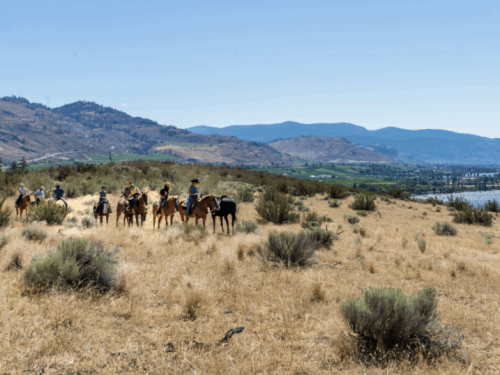 Screenshot 2025-05-08 at 1.03.04 PM